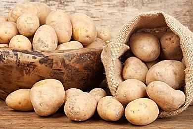 《灵武战记》新作DLC情报公开 新追加角色亮相